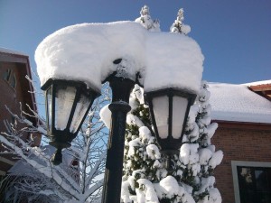 10888609_10204843463400124_3790563338254874192_n