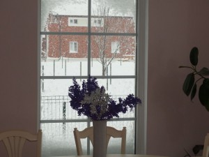 12489392_1707549346191853_7881187934557591193_o 