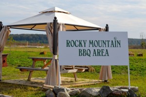 Optimized-DSC 8424-compressor